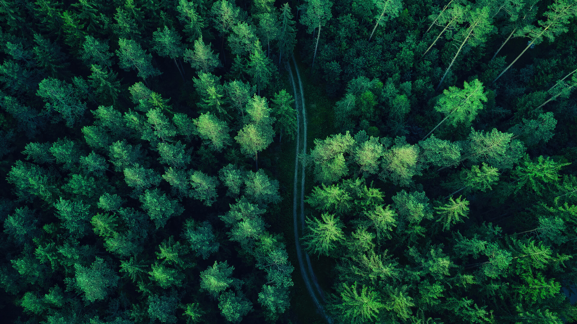 Slide Background
